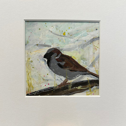 UNFRAMED: house sparrow 7