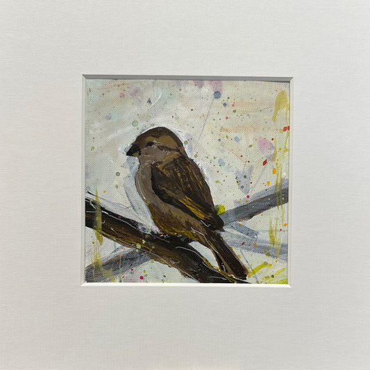 UNFRAMED: house sparrow 8