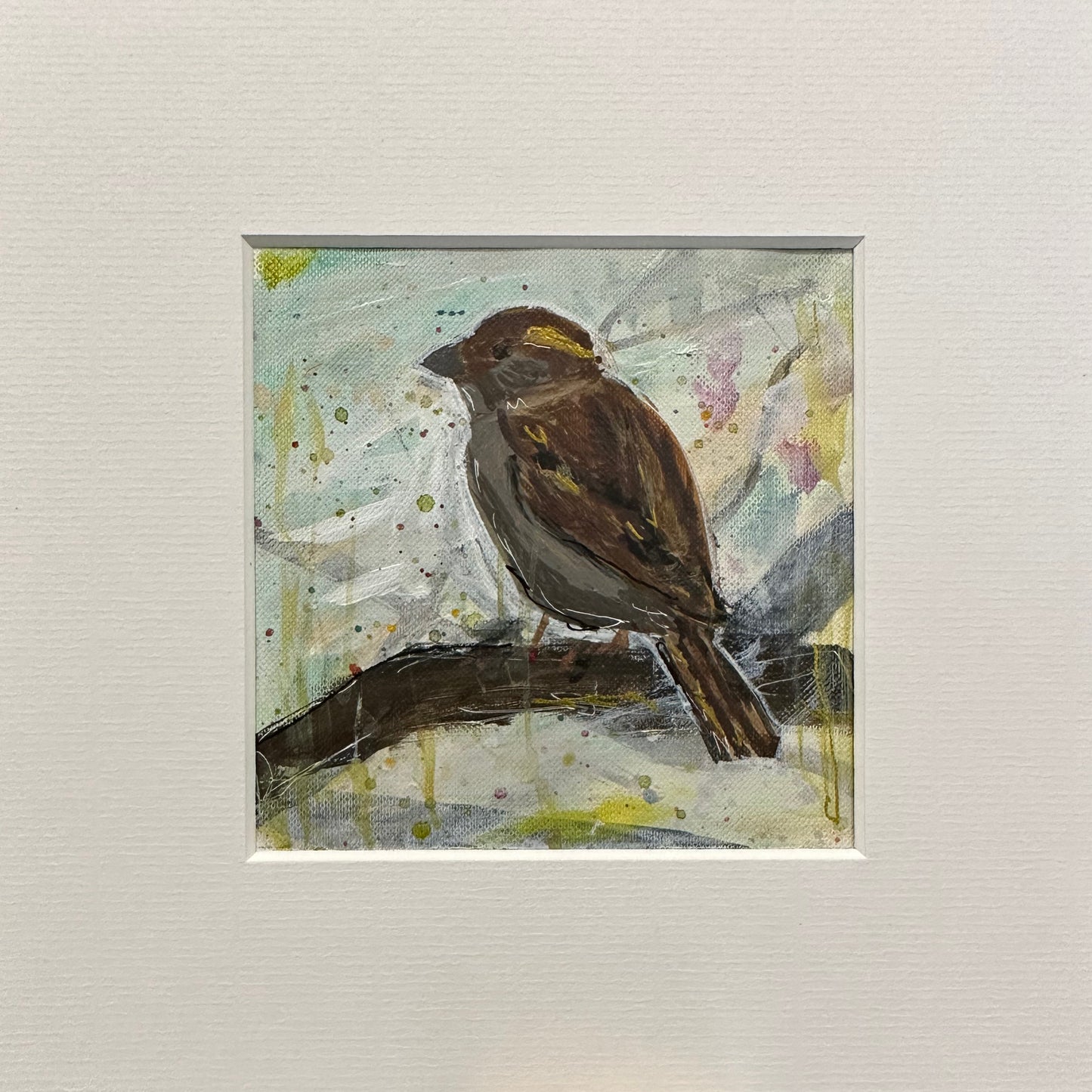 UNFRAMED: house sparrow 9