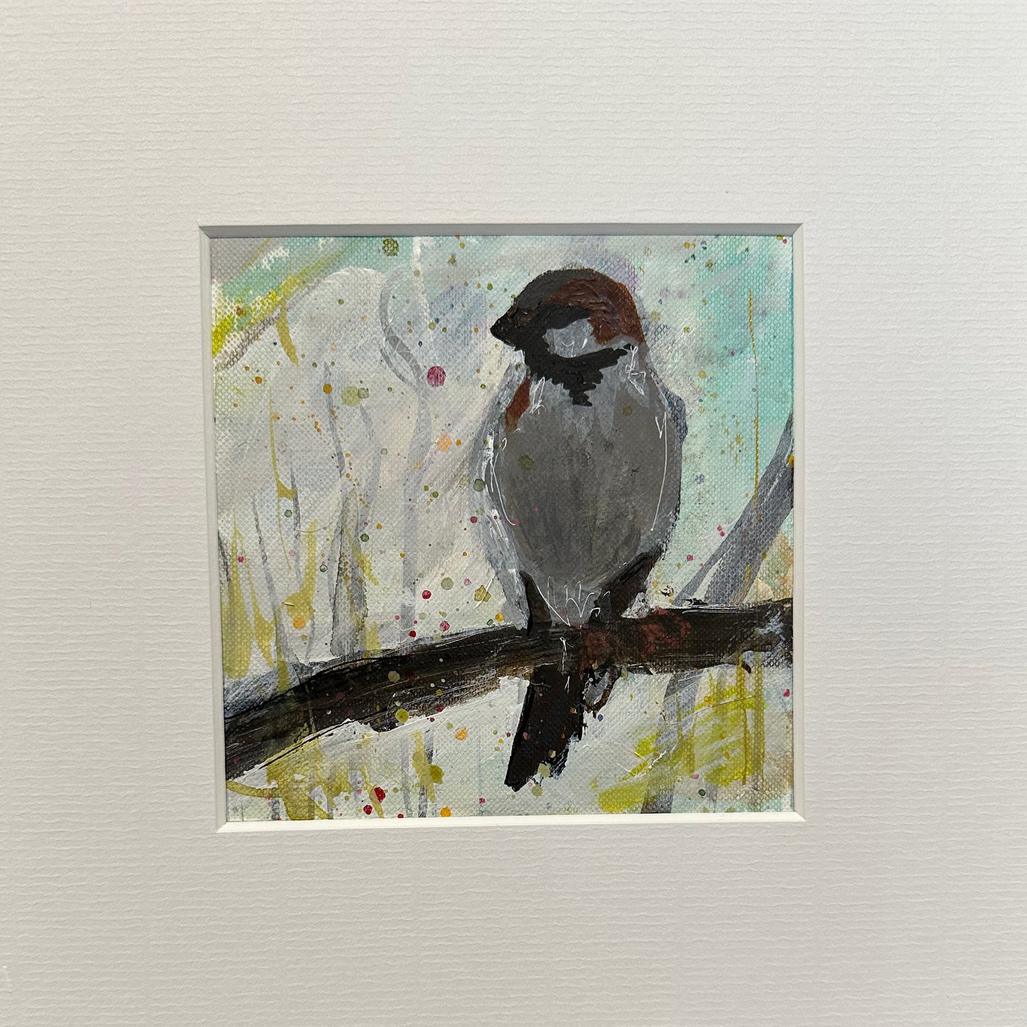 UNFRAMED: house sparrow 11