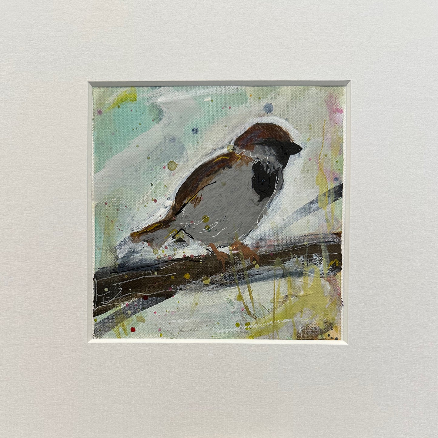UNFRAMED: house sparrow 12