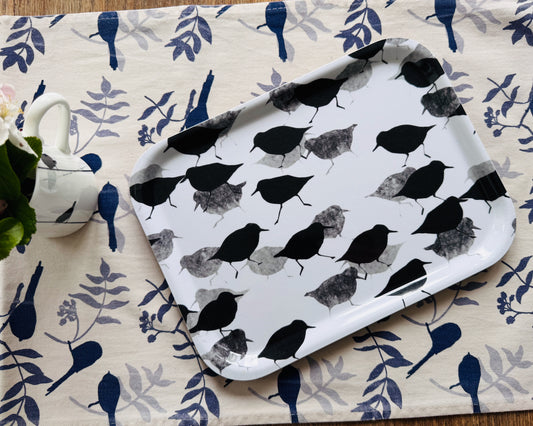TRAY : sanderlings