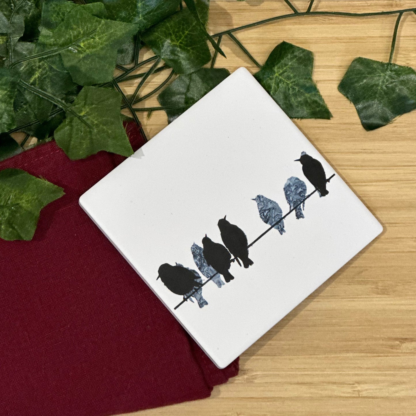 COASTER : starlings