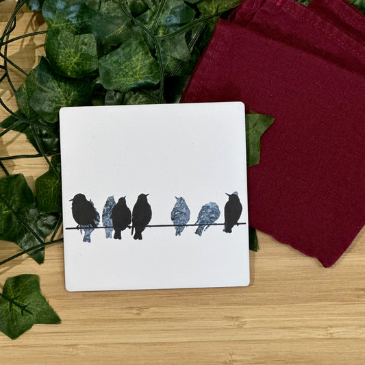 COASTER : starlings