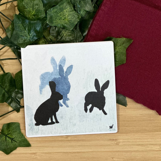 COASTER : hares 2