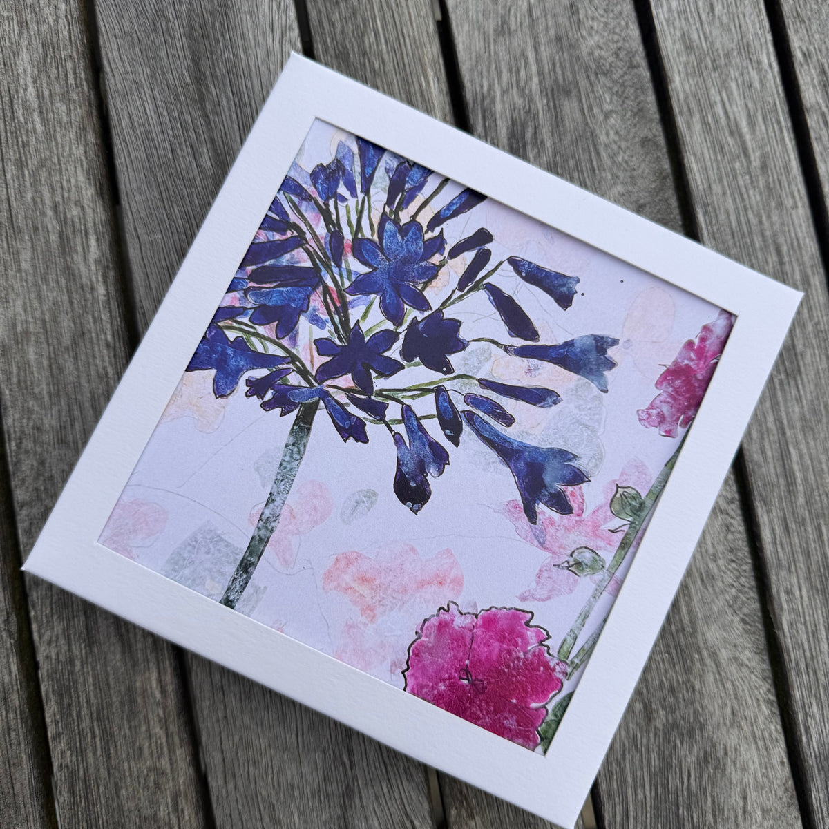 PACK OF GREETING CARDS: agapanthus