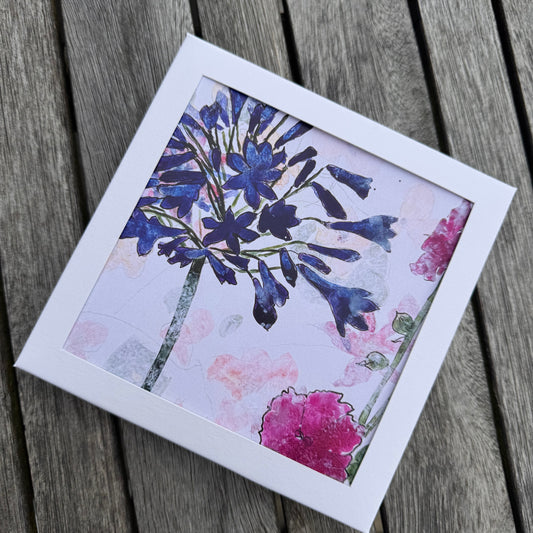 PACK OF GREETING CARDS: agapanthus