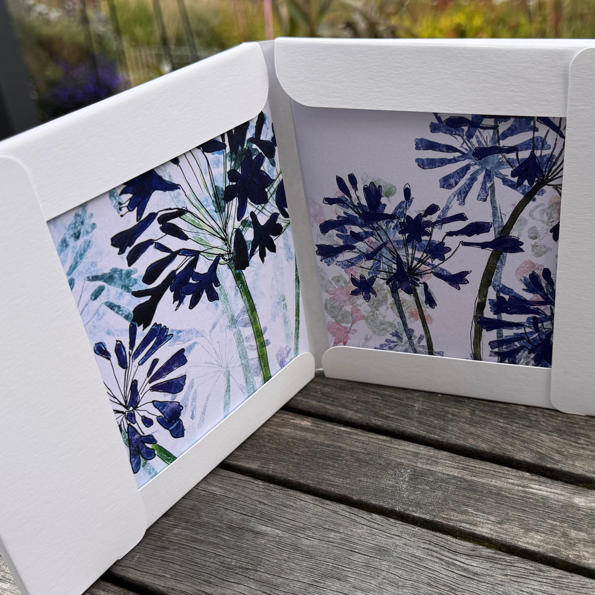 PACK OF GREETING CARDS: agapanthus