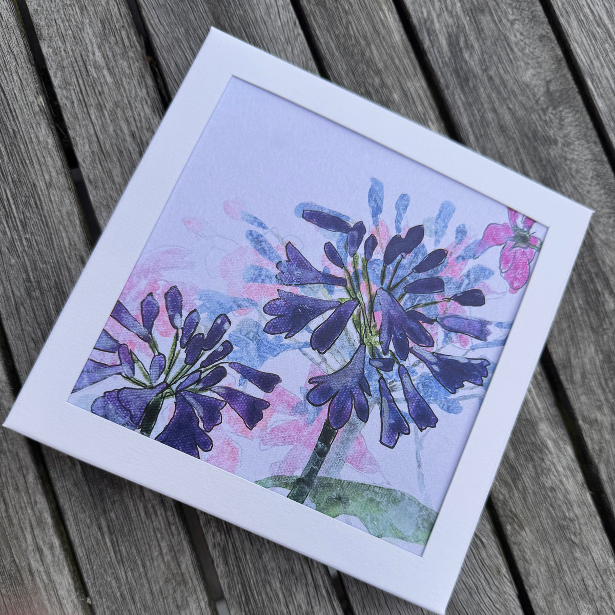 PACK OF GREETING CARDS: agapanthus