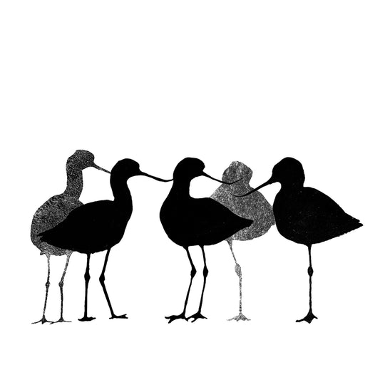 CARD: avocet SQ