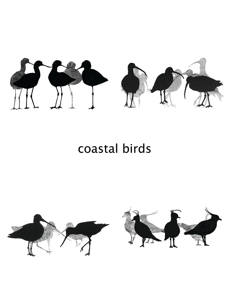 COASTER SET: coastal wader birds x 4