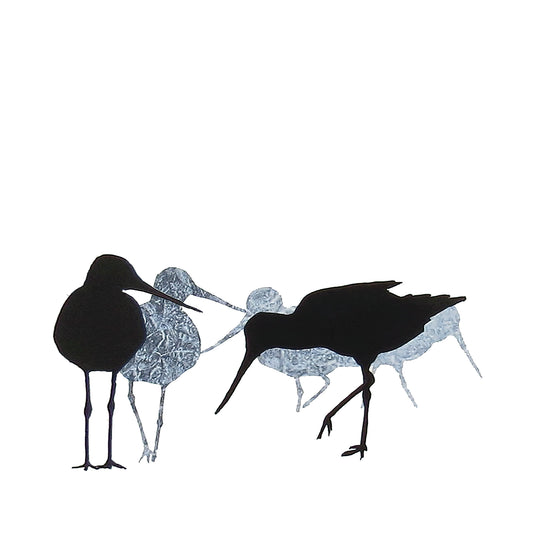 CARD: godwits SQ