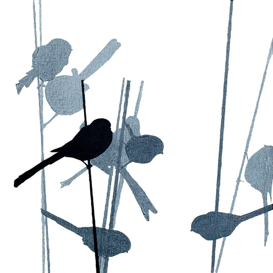 COASTER : long-tailed tits