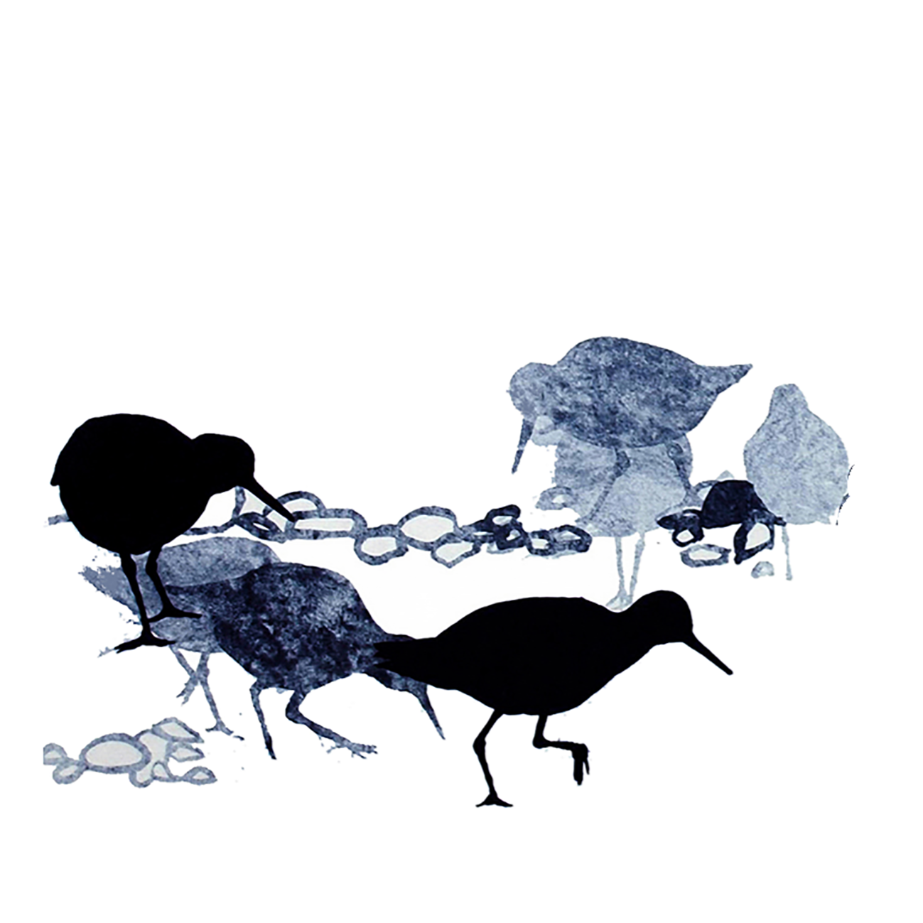 COASTER : redshanks