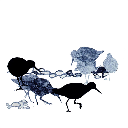 COASTER : redshanks