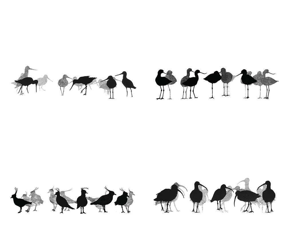 TABLE MAT SET: coastal birds x 4