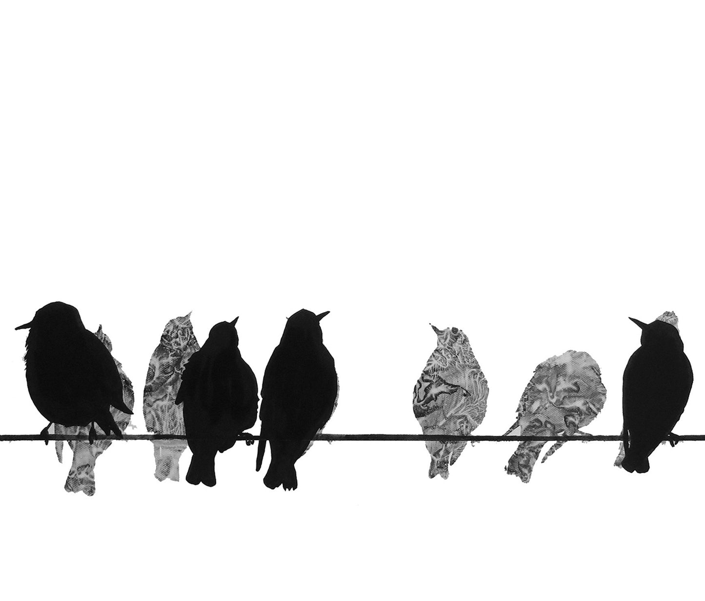 LENS CLOTH: starlings
