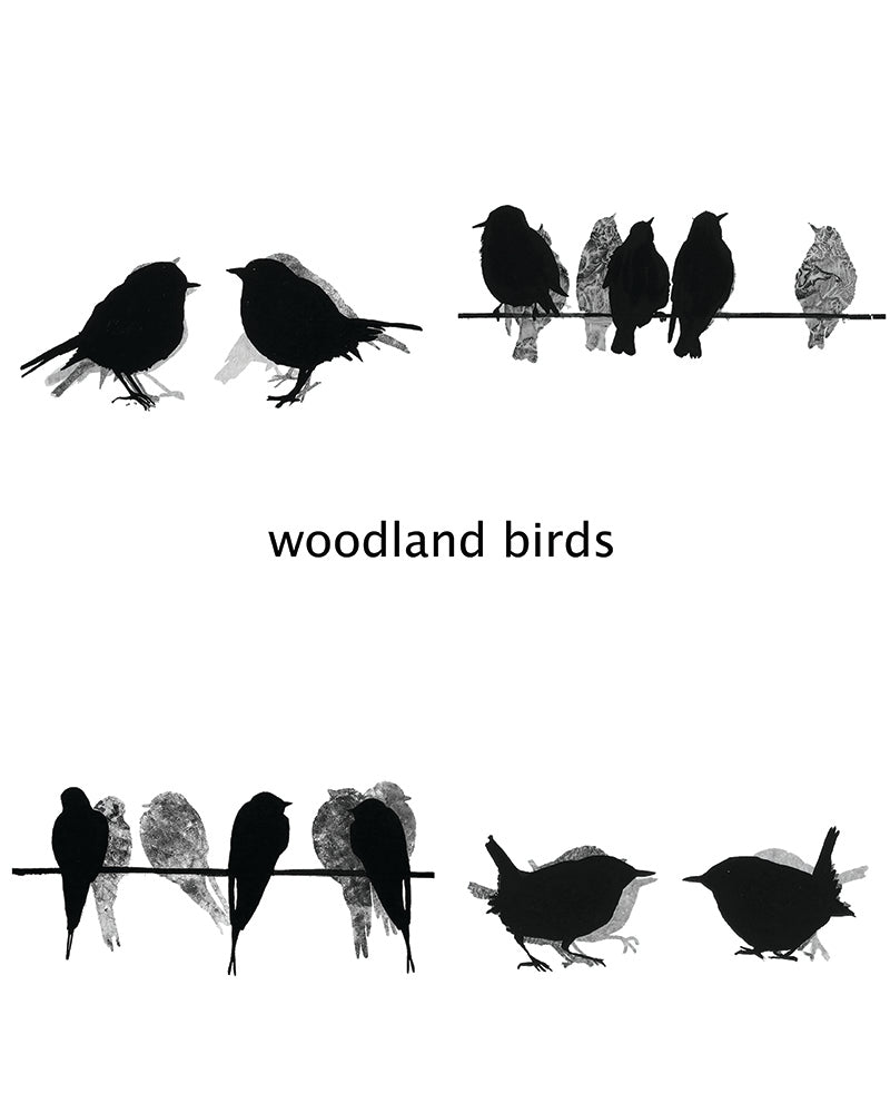 COASTER SET: woodland birds x 4