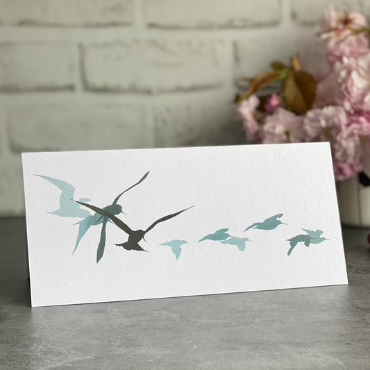 CARD: sandwich tern & oystercatchers