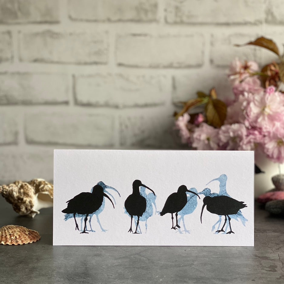 CARD: curlew