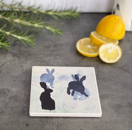 COASTER : hares 1