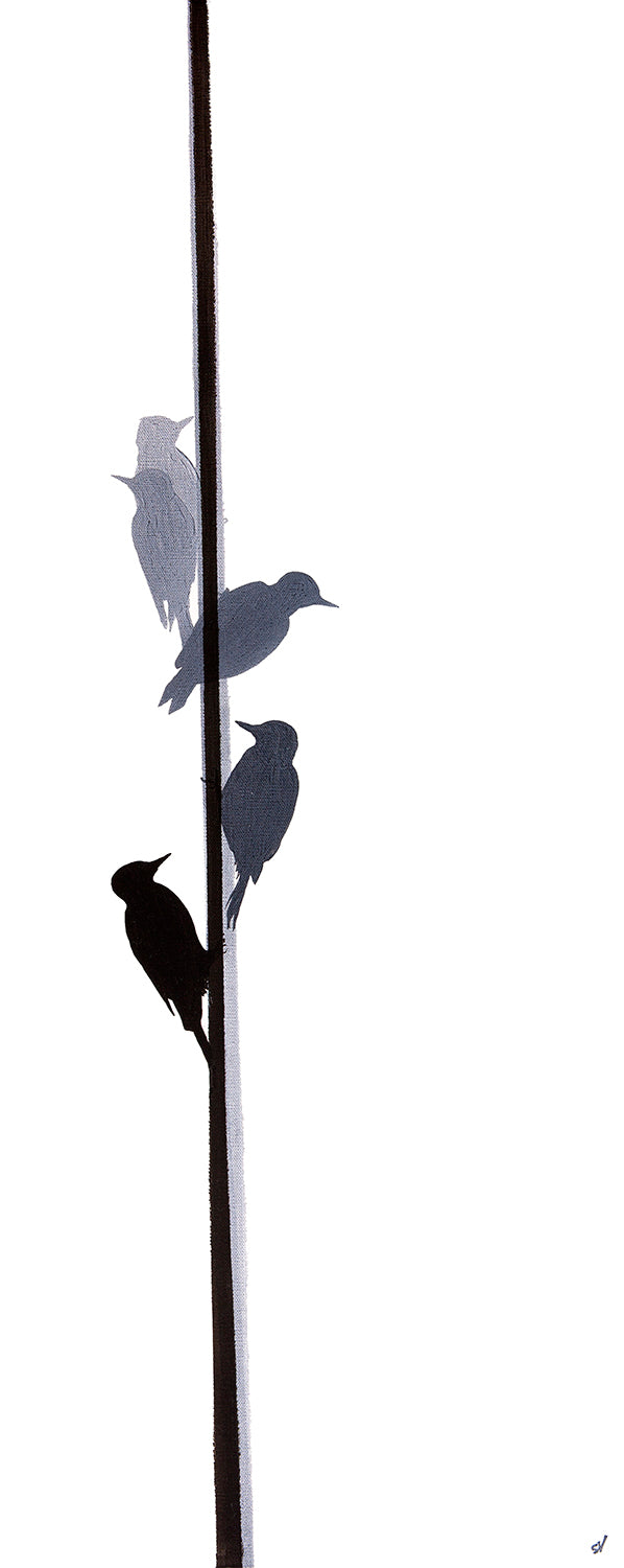 ART PRINT: 'woodpecker' UNFRAMED