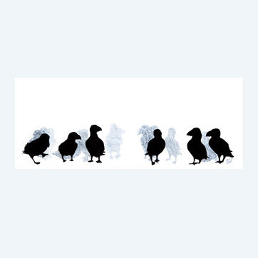 ART PRINT: 'puffins'  UNFRAMED