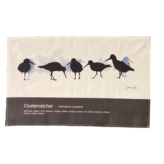 TEA TOWEL - OYSTERCATCHER unbleached cotton