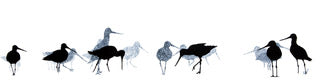 [product_title - Sandra Vick