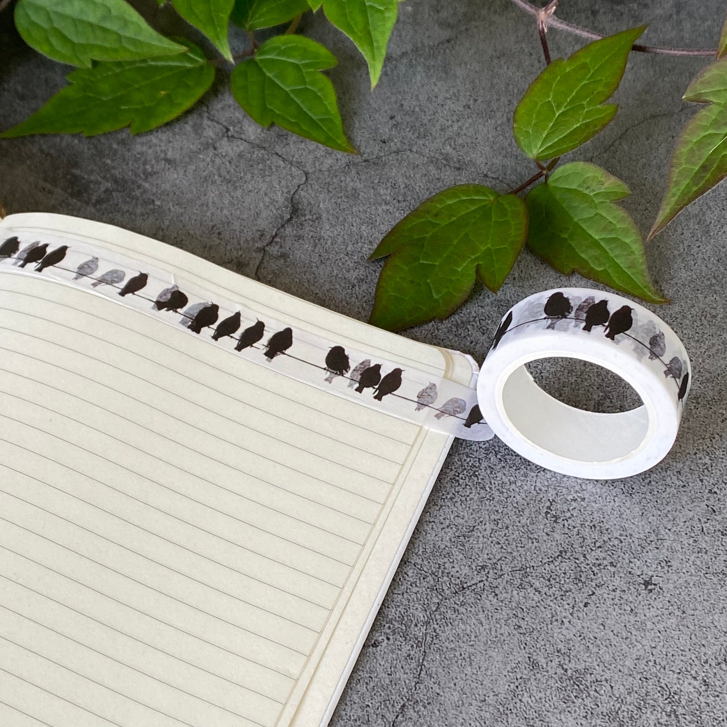 Washi tape - starlings on wire