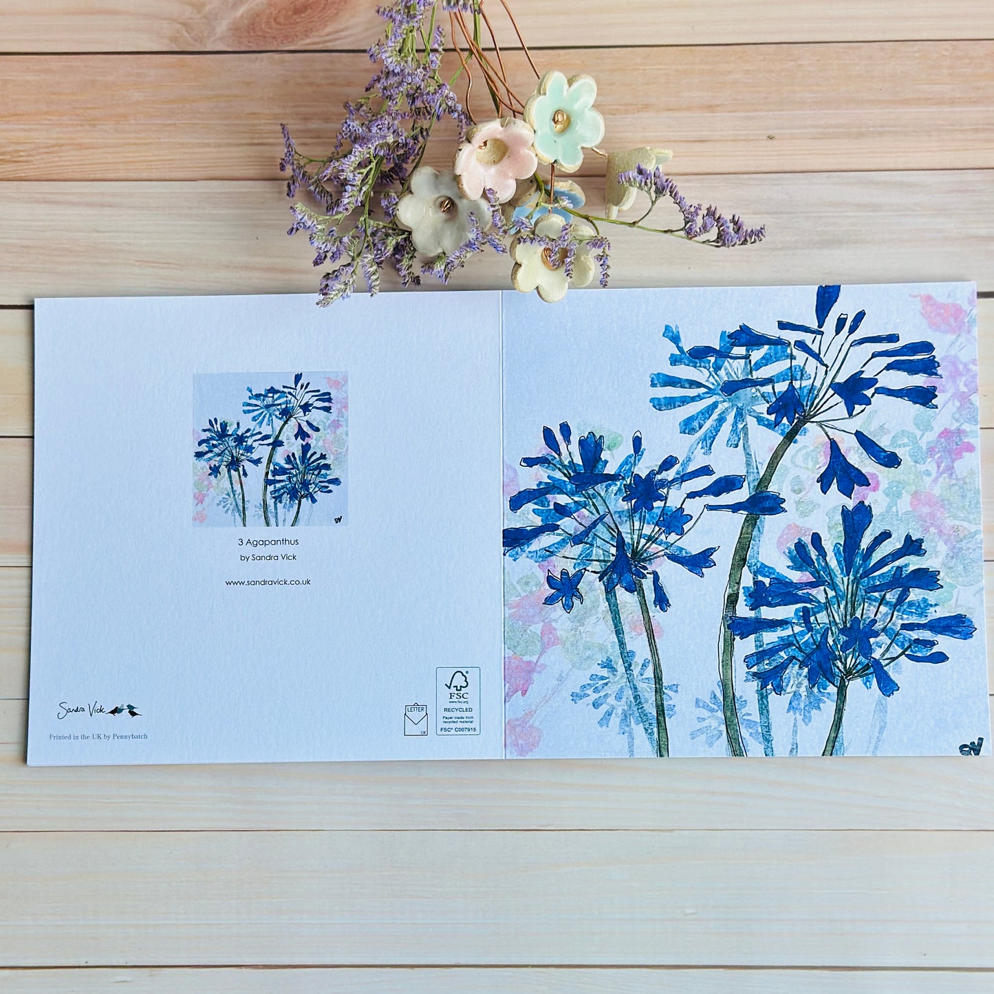 CARD: 3 agapanthus